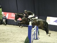 M-springen 201113_2711